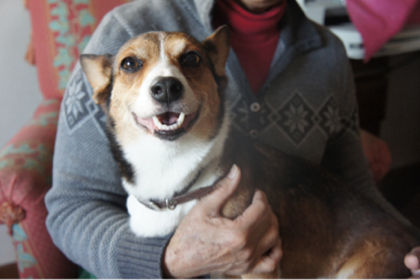 image-20131230100551.png