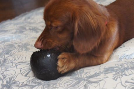 image-20131230114335.png